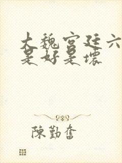 大魏宫廷六王爷是好是坏封面