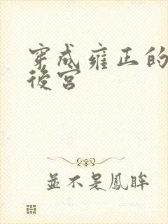 穿成雍正的极品后宫