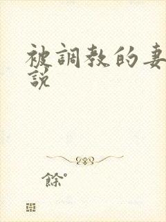 被调教的妻子小说