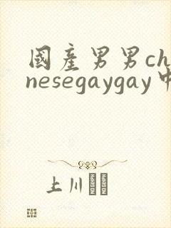 国产男男chinesegaygay中国帅哥网站