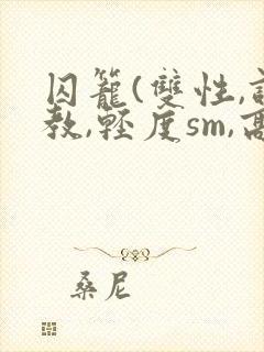 囚笼(双性,调教,轻度sm,高h