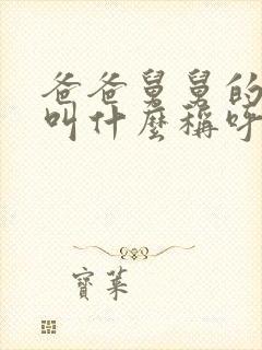 爸爸舅舅的女儿叫什么称呼封面