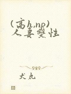 (高h,np)人妻双性