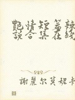 艳情短篇辣文小说合集在线阅读