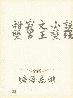 甜宠文小说推荐双男主双强