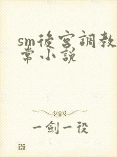 sm后宫调教日常小说封面
