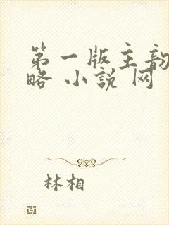 第一版主韵母攻略 小说 网封面