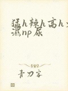 猛h辣h高h文湿np尿