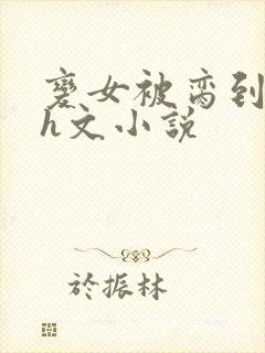 变女被脔到高潮h文小说封面