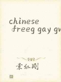 chinese freeg gay gv tv封面