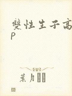 双性生子高hnp封面