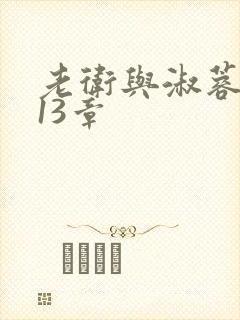 老卫与淑蓉小说13章封面