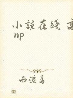 小说在线 高h np