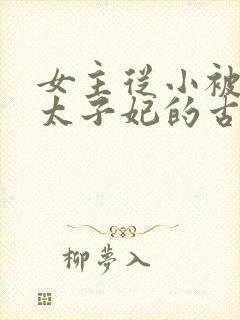 女主从小被定为太子妃的古言封面