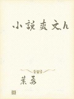 小说爽文h