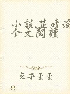 小说,芷晴沦陷全文阅读