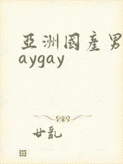 亚洲国产男同gaygay