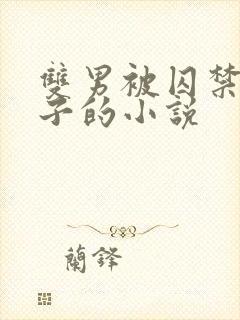 双男被囚禁还生子的小说