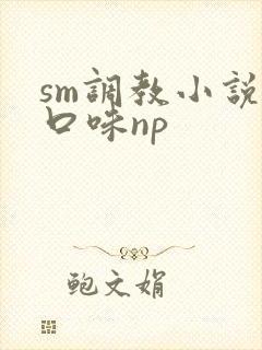 sm调教小说重口味np封面