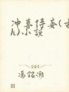 冲喜侍妾(古言h)小说