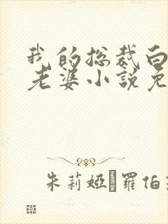 我的总裁白富美老婆小说免费在线阅读完整版