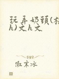 玩弄奶头(校园h)文h文