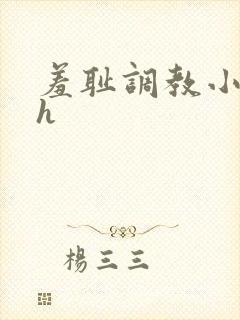 羞耻调教小说高h