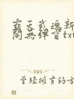 霸天武魂新笔趣阁无弹窗txt