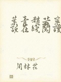 叶青赵若宁的小说在线阅读