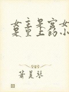 女主是宫女男主是皇上的小说