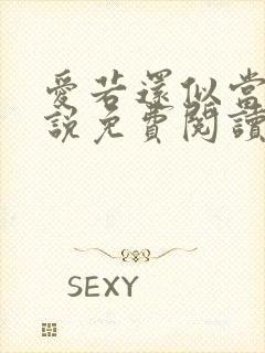 爱若还似当初小说免费阅读封面