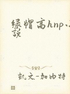 绿帽高hnp小说封面