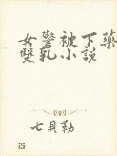 女警被下药玩弄双乳小说