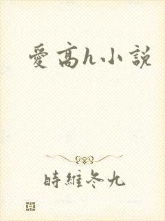 爱高h小说封面