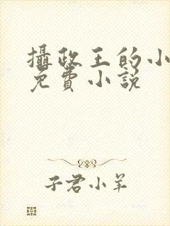 摄政王的小闲妻免费小说