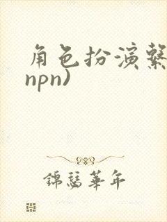 角色扮演系统(npn)