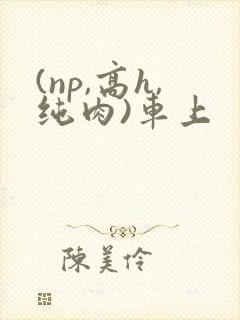 (np,高h,纯肉)车上