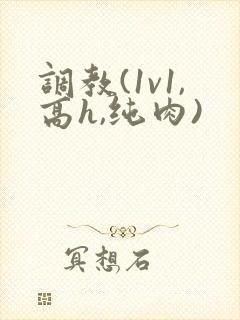 调教(1v1,高h,纯肉)封面