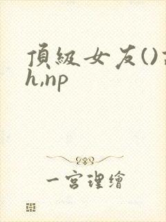 顶级女友()高h,np