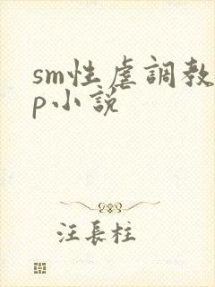 sm性虐调教np小说