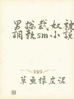 男总裁奴被绳绑调教sm小说