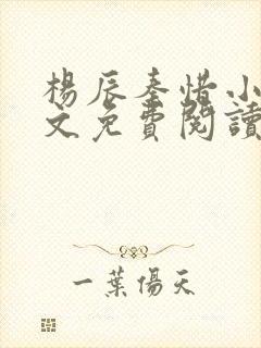 杨辰秦惜小说全文免费阅读最新章节