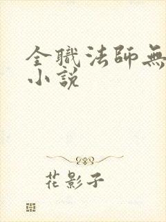 全职法师无删减小说