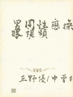 男同性恋操屁股眼视频