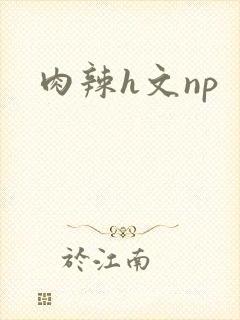肉辣h文np