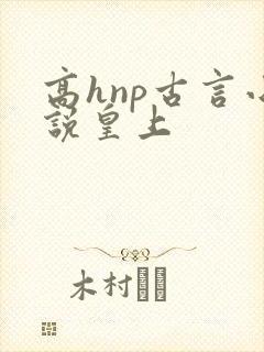 高hnp古言小说皇上封面
