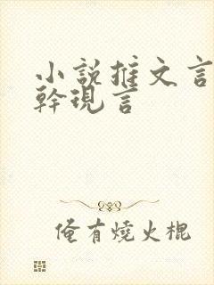 小说推文言情高干现言封面