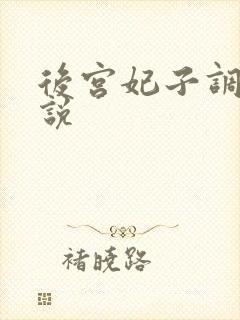 后宫妃子调教小说
