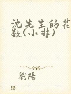 沈先生的花式调数(小非)