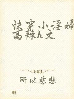 快穿小淫妇h文高辣h文